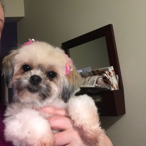 Meet your Posher, Jill - Picture 4 of 4